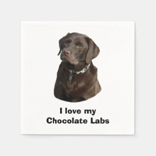 Schokoladen-Labrador-HundeFotoporträt Serviette