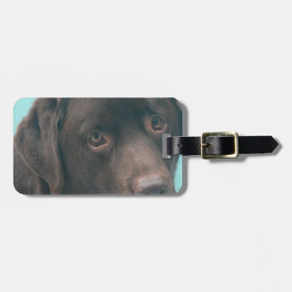 Schokoladen-Labrador-Hundegepäck-Umbau Gepäckanhänger
