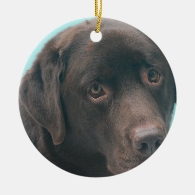Schokoladen-Labrador-Hundeverzierungen Keramik Ornament (Vorne)