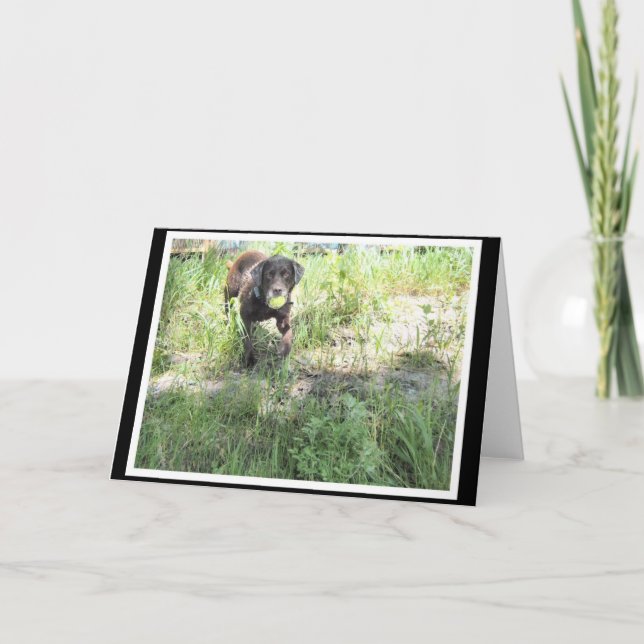 Schokoladen-Labrador-Karte Karte (Vorderseite)