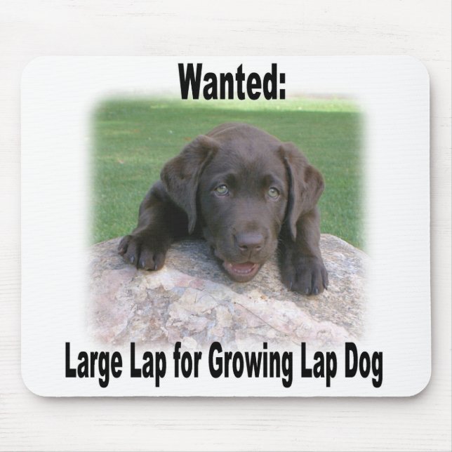 Schokoladen-Labrador-Mausunterlage Mousepad (Vorne)