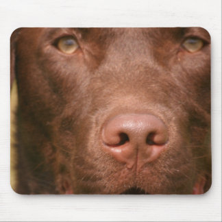 Schokoladen-Labrador-Mausunterlage Mousepad