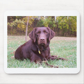 Schokoladen-Labrador Mousepad
