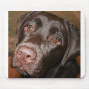Schokoladen-Labrador Mousepad