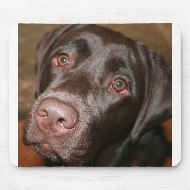 Schokoladen-Labrador Mousepad (Vorne)