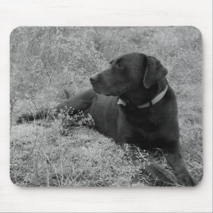 Schokoladen-Labrador Mousepad