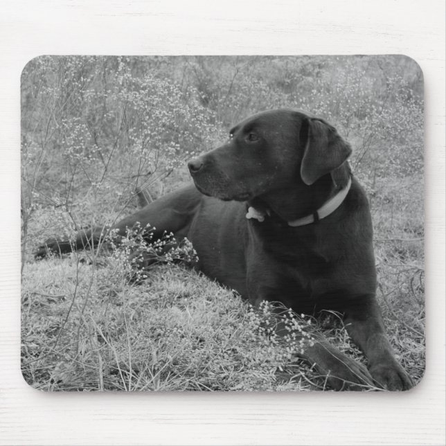 Schokoladen-Labrador Mousepad (Vorne)