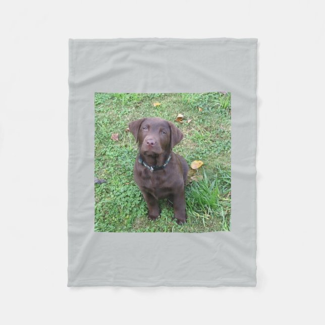Schokoladen-Labrador pup.png Fleecedecke (Vorderseite)