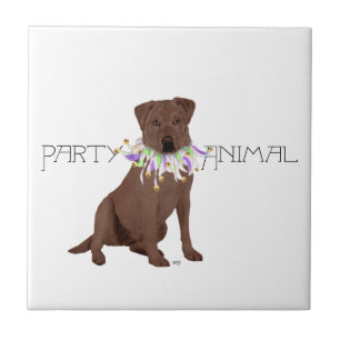 Schokoladen-Labrador Retriever-Party Fliese