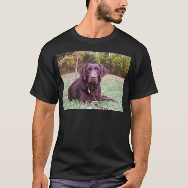Schokoladen-Labrador T-Shirt (Vorderseite)