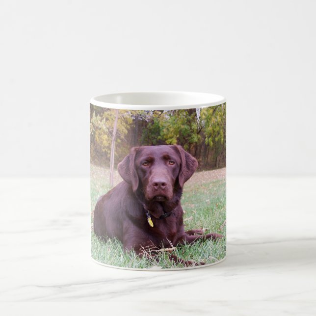 Schokoladen-Labrador Tasse (Mittel)