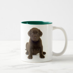Schokoladen-Labrador-Tasse Zweifarbige Tasse