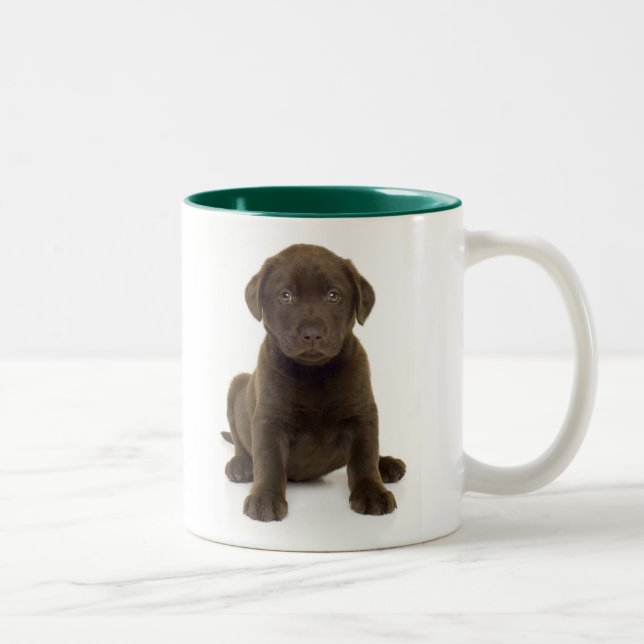 Schokoladen-Labrador-Tasse Zweifarbige Tasse (Rechts)