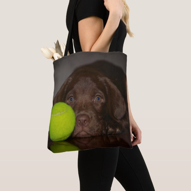 Schokoladen-Labrador-Welpe mit Tennisball (Von Nahem)