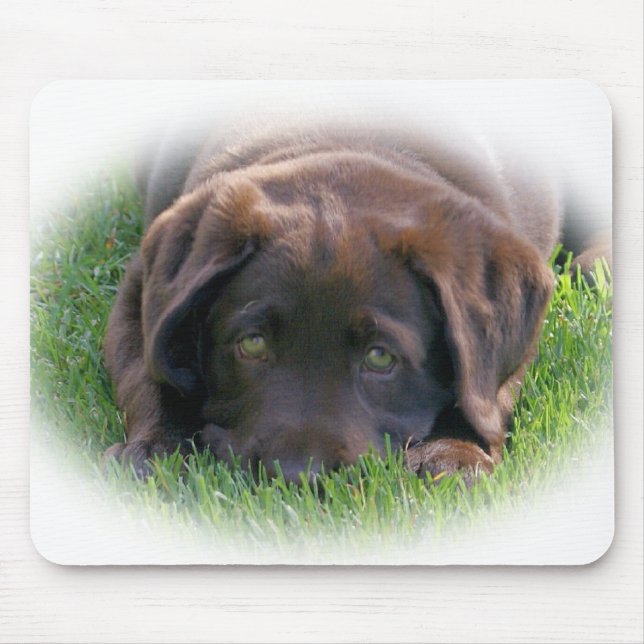 Schokoladen-Labrador-Welpe Mousepad (Vorne)