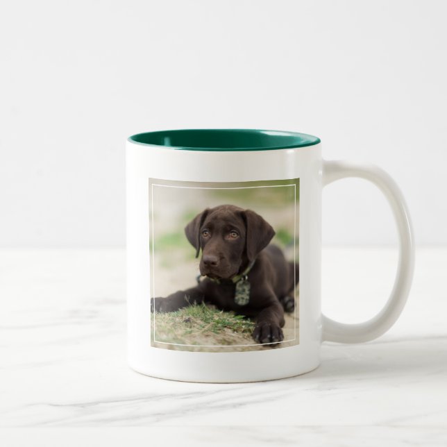 Schokoladen-Labrador-Welpe Zweifarbige Tasse (Rechts)