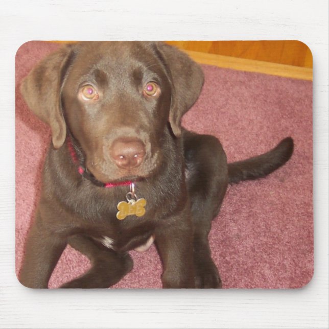 Schokoladen-Labrador-Welpen-Mausunterlage Mousepad (Vorne)