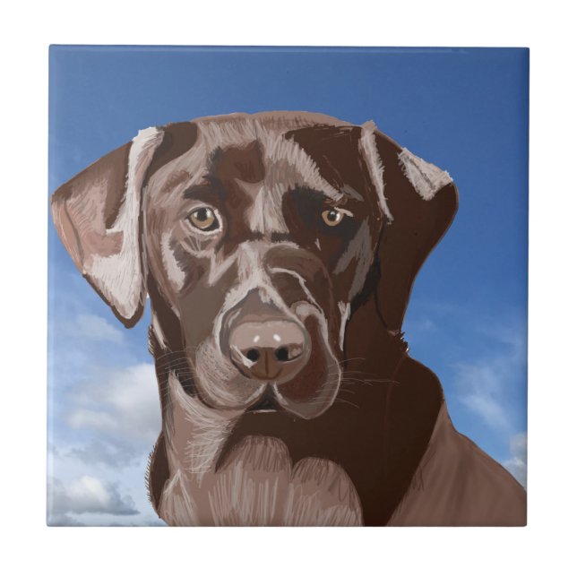Schokoladenbraun-Labrador gegen den blauen Himmel Fliese (Vorderseite)