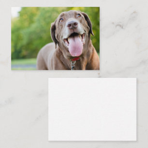 Schokoladenhund Visitenkarte