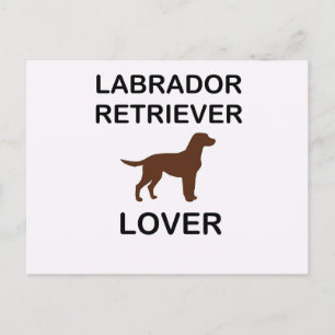 Schokoladenliebhaber Labrador Postkarte