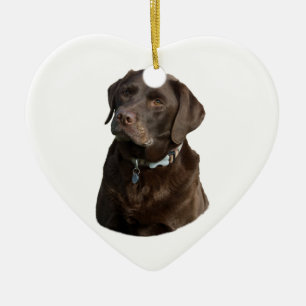 Schokoladenportrait Labrador Foto Keramik Ornament
