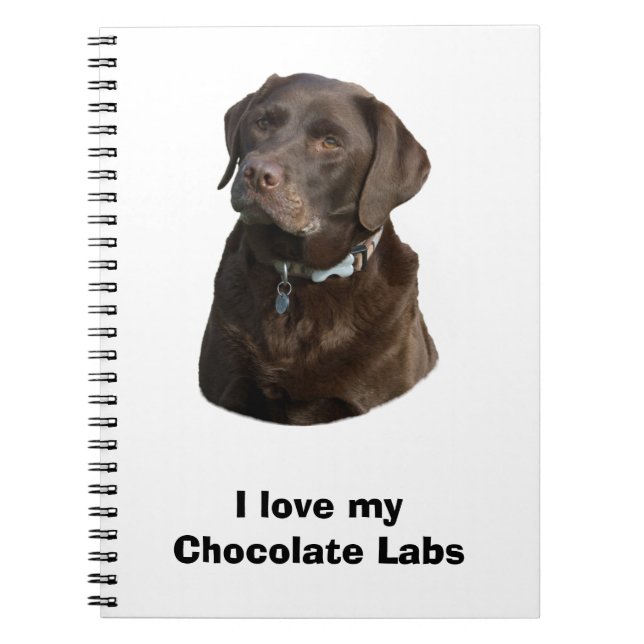 Schokoladenportrait Labrador Foto Notizblock (Vorderseite)