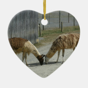 SCHÖN, FRIEDLICH, LAMAS KERAMIK ORNAMENT