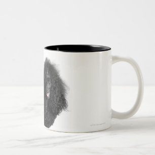 Schön, getrimmt, Schwarzes, kompletter Pudelkörp Zweifarbige Tasse