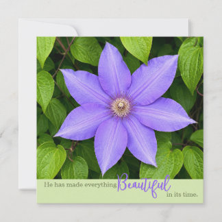 Schön in seiner Zeit | Lila Clematis