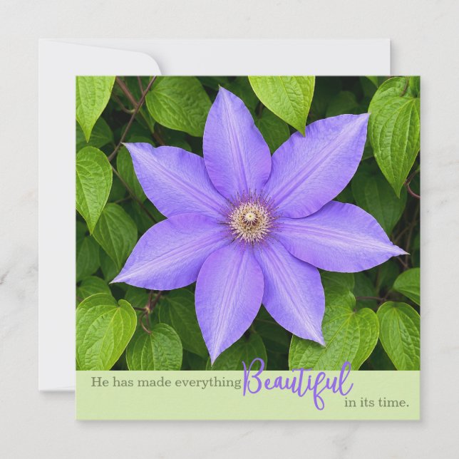 Schön in seiner Zeit | Lila Clematis (Vorderseite)