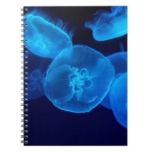 SCHÖN JELLYFISH NOTIZBLOCK