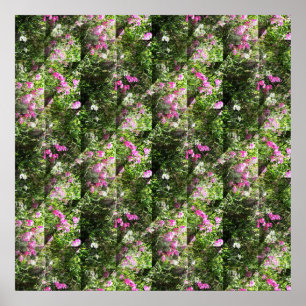 Schön süße Erbsen.... Poster