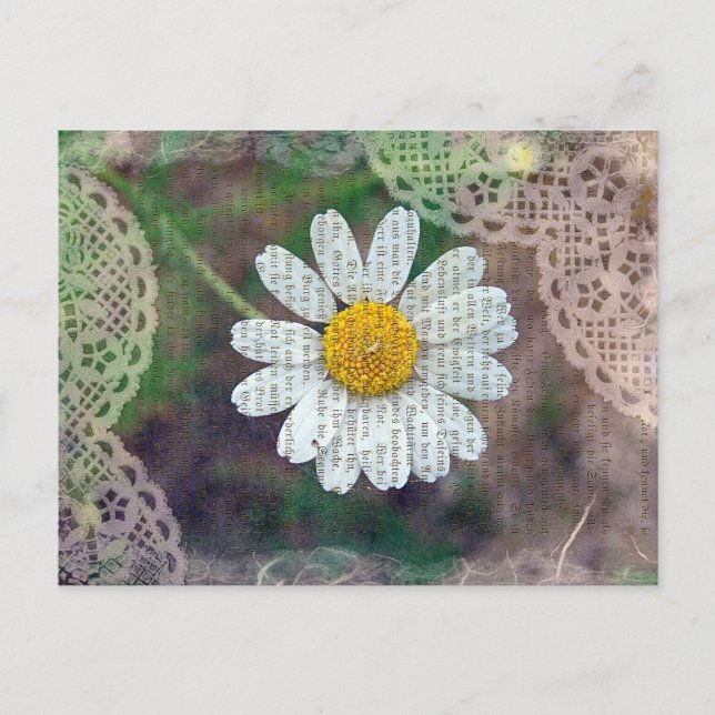 Schön wie ein Gänseblümchen Postkarte (Vorderseite)