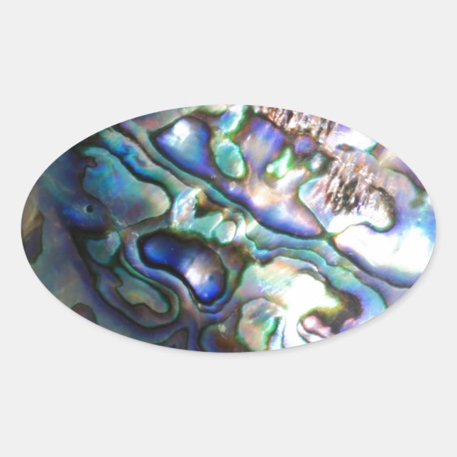 Schöne abalone Muschel Ovaler Aufkleber (Vorderseite)