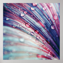 Schöne, Abstrakte, rosa blaue Blume fällt ab