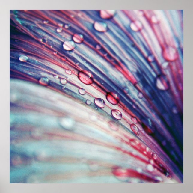 Schöne, Abstrakte, rosa blaue Blume fällt ab Poster (Vorne)