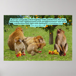Schöne Affenschrift 2 Korinther 6:14 Poster