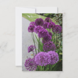 Schöne Alliums Mitteilungskarte