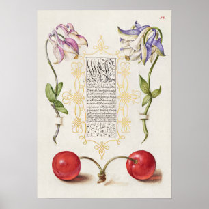 Schöne alte botanische Illustration Poster
