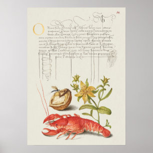 Schöne alte botanische Illustration Poster
