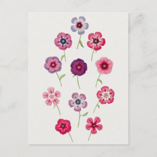 Schöne alte botanische Illustration Postkarte