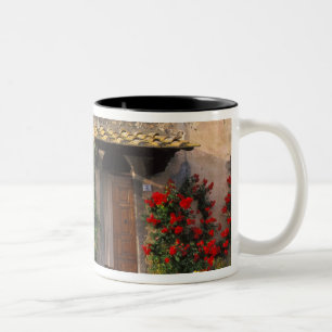 Schöne alte Zuhause mit Blume in San Gimignano Zweifarbige Tasse
