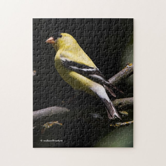 Schöne amerikanische Goldfinch Puzzle (Vertikal)