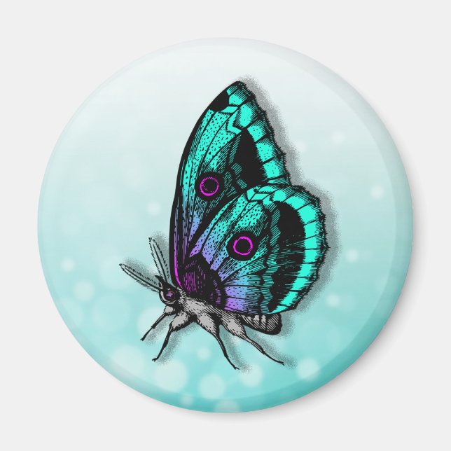 Schöne Aquamarine Butterfly Magnet (Vorne)