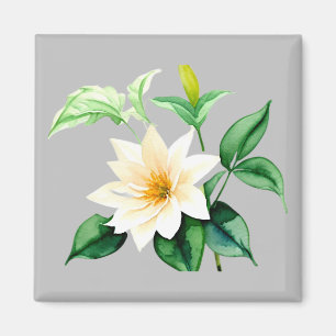 Schöne Aquarell-Blume Magnet