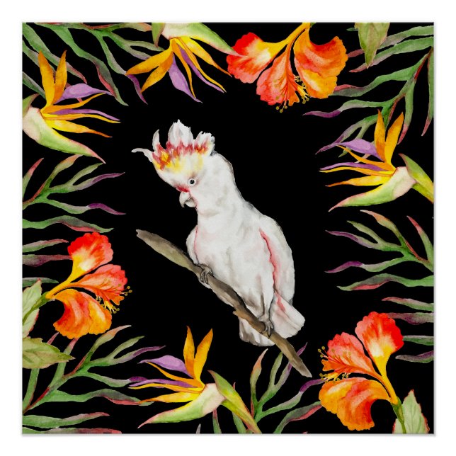 Schöne Aquarellmücke mit Perrot zeichnend Poster (Vorderseite)