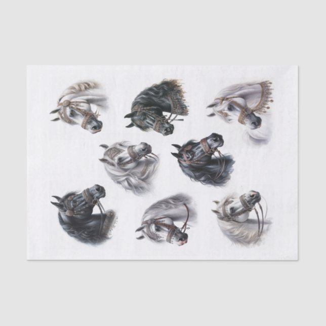 Schöne arabische Pferde mit Extravaganten Bridles Seidenpapier (Vorderseite)