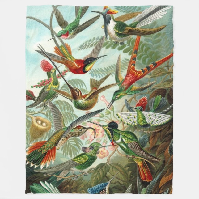 Schöne Art Hummingbirds von Ernst Haeckel Fleecedecke (Vorderseite)