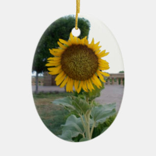 Schöne Atemberaubende Sonnenblume Keramikornament
