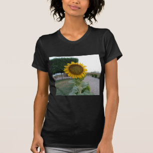 Schöne Atemberaubende Sonnenblume T-Shirt